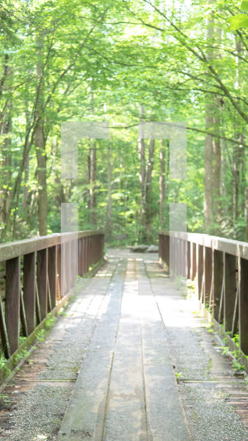 wooden bridge in a forest 