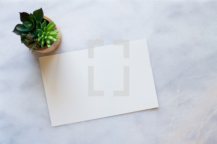 Potted succulent plant and blank paper on white marble desk