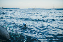 nets in the ocean 