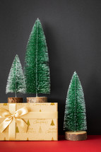bottle brush Christmas trees and Christmas present 