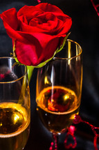 champagne glasses and red rose 