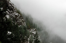 snow on a mountaintop forest 
