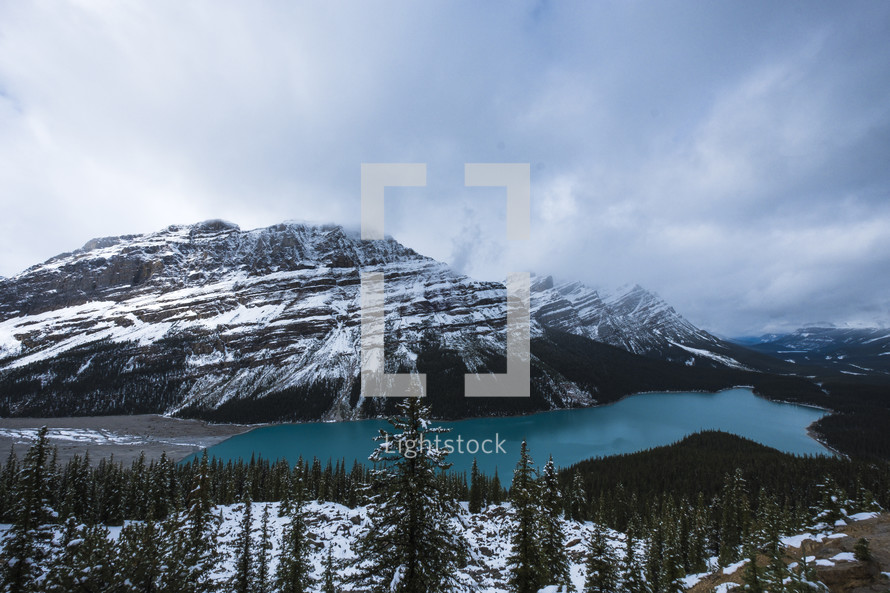 evergreen forest around Peyto lake in winter 