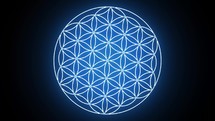 The Flower of Life Forming Sacred Geometry Symbol