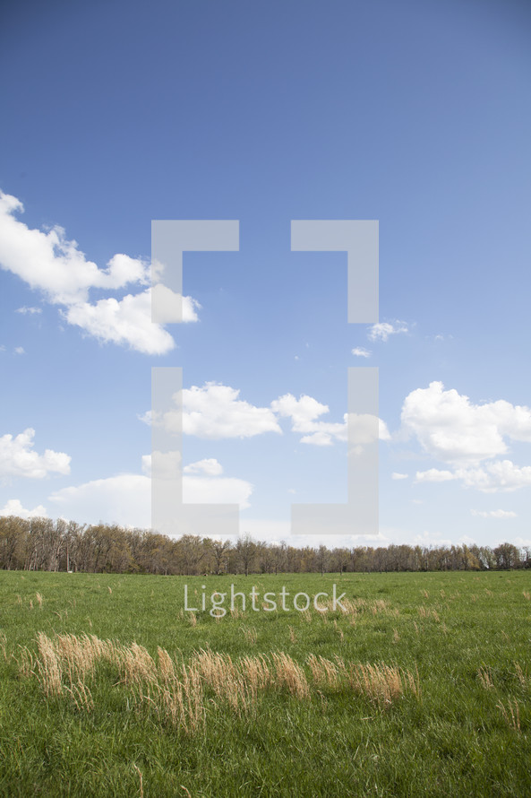 clouds in a blue sky above a field 
