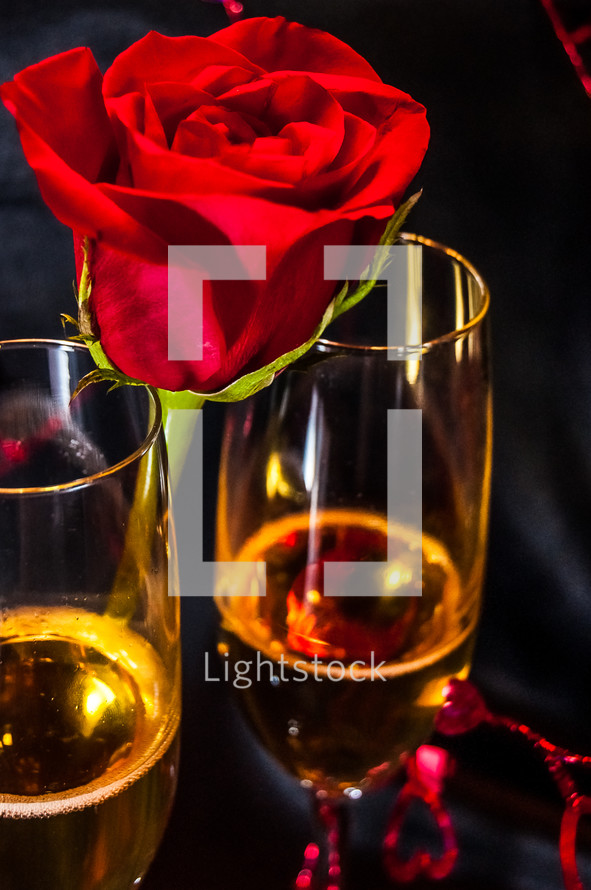 champagne glasses and red rose 