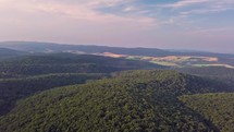Aerial view of forest valley in summer evening landscape
