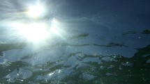 sunlight on sea water and under water 