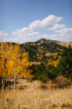 a fall mountain scene 