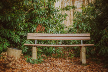 park bench surrounded by green leaves 