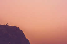 bird on a rock and pink sky 