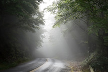 Foggy early morning mountain road, Great Smoky Mountains National Park.