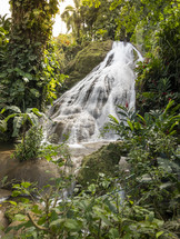 waterfall in a jungle 