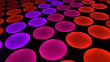 red, pink, and purple circles on a black background 