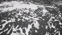 Shadows of leaves and tree branches on white surface