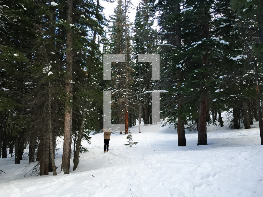 man walking in snow through a forest 