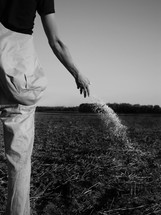 farmer tossing seed