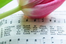 tulip on a hymnal 