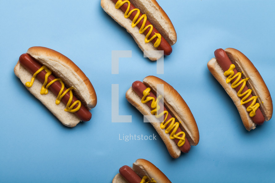 Hot dogs on buns and drizzled with mustard on a blue background.