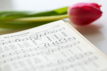 tulip and hymnal 