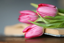 tulips on a BIble 