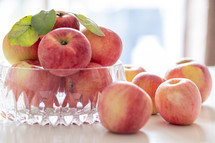 bowl of apples in natural light, backlit