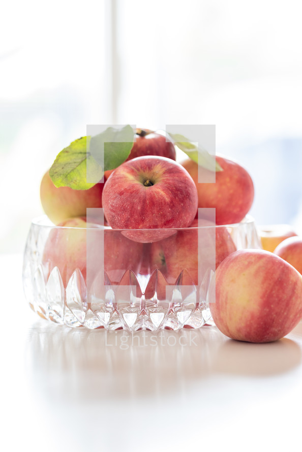 bowl of apples in natural light, backlit