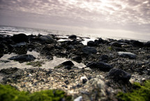 rocks on a beach in front of an ocean