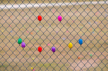 Plastic Easter eggs in a chain link fence.
