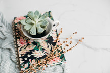 succulent plant in a tea cup on a journal 