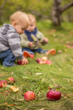 toddlers playing with apples in the grass 