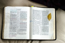 handwritten notes on the pages of an opened Bible - James 