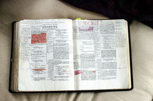 handwritten notes on pages of a Bible opened to Hebrews 