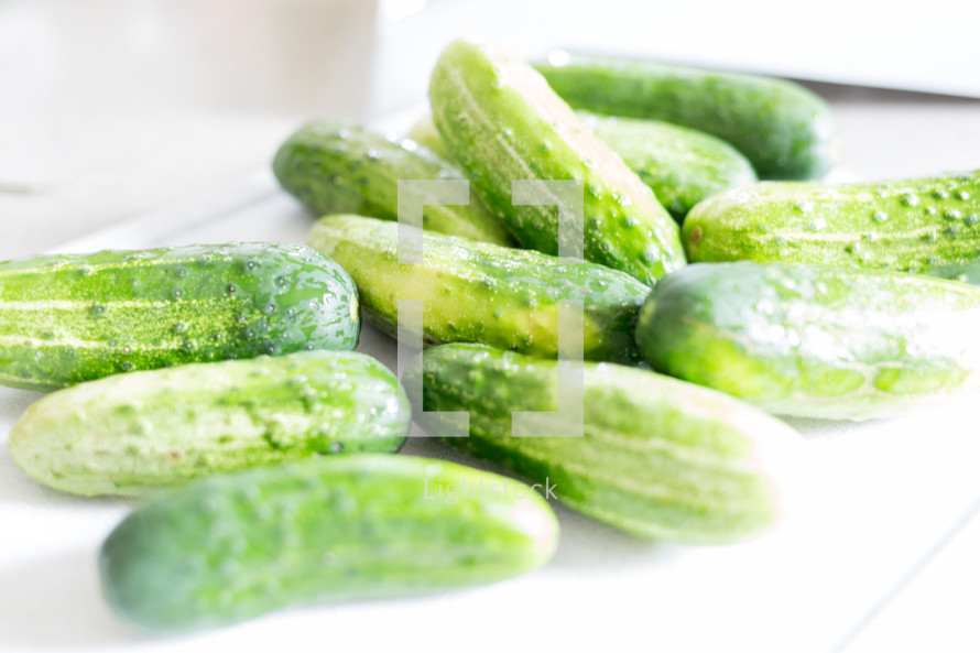 cucumbers 