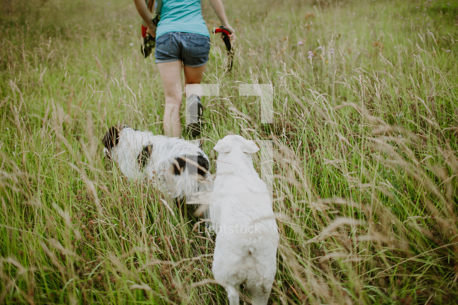 A young woman walking through a field of grass with two dogs.