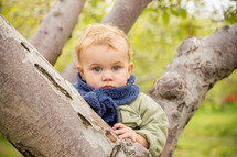 toddler boy in a scarf in a tree 