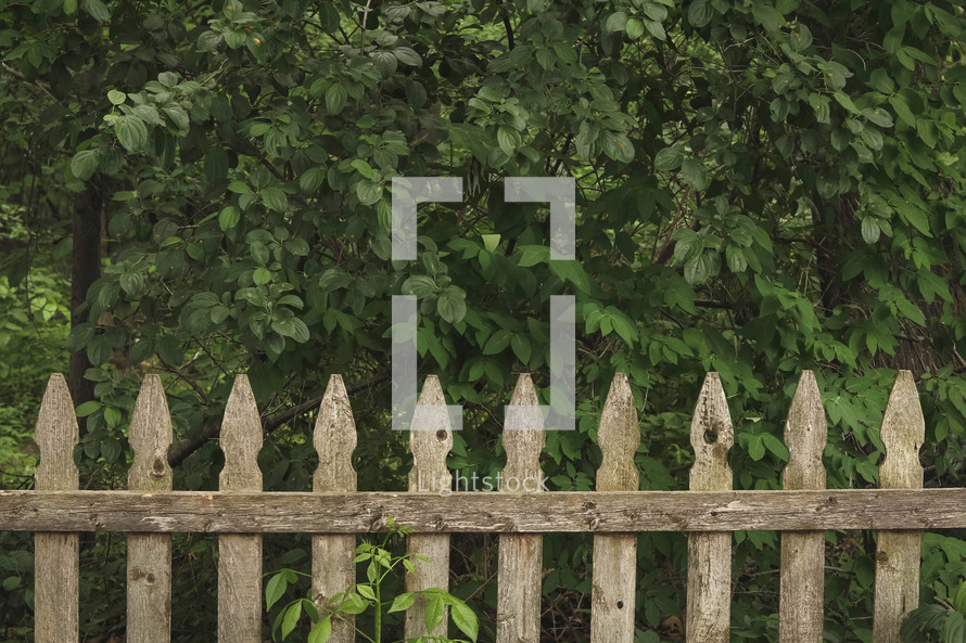 weathered picket fence 