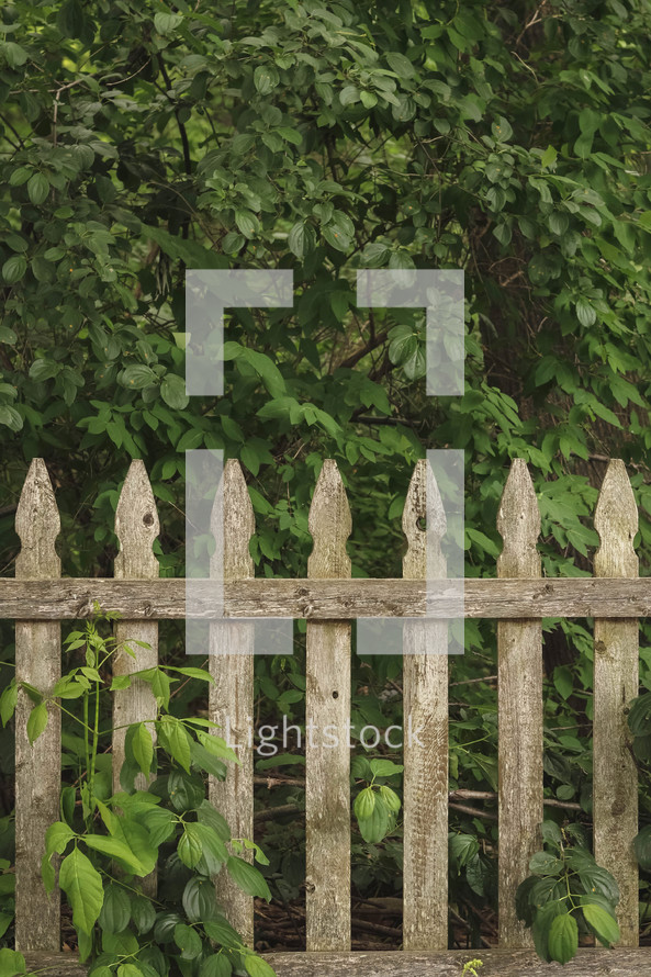 weathered picket fence 