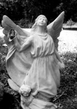 broken angel statue in a cemetery 