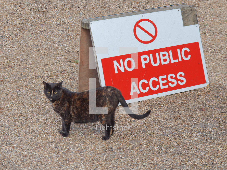 Cat entering a no public access area