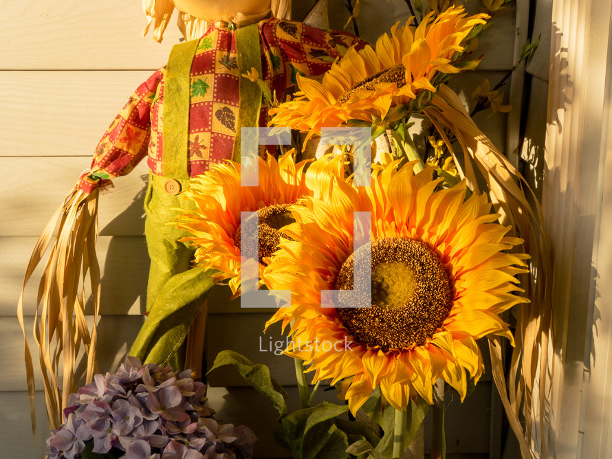 sunflowers and scarecrow on a porch in fall 