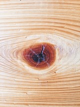 knot in a wood board