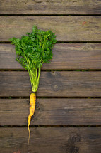 carrots on a wood background 