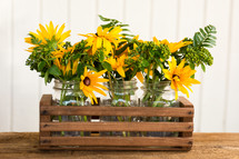 three jars of yellow flowers with a white background
