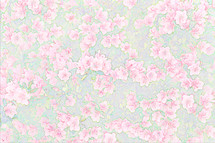 floral wallpaper 