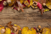 leaves and acorns on a wood background 