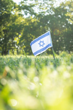 Flag of Israel in grass