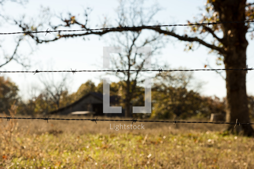 looking thought a barbwire fence at a barn in fall 