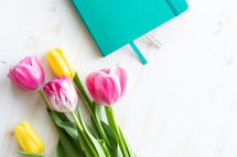 journal and tulips 