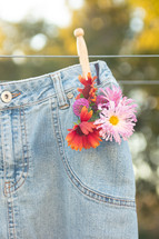 flowers in the pocket of jeans hanging on a clothesline 